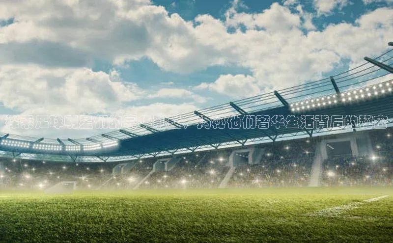 欧陆娱乐平台登录app百度众测探索足球明星们的豪华别墅，揭秘他们奢华生活背后的秘密