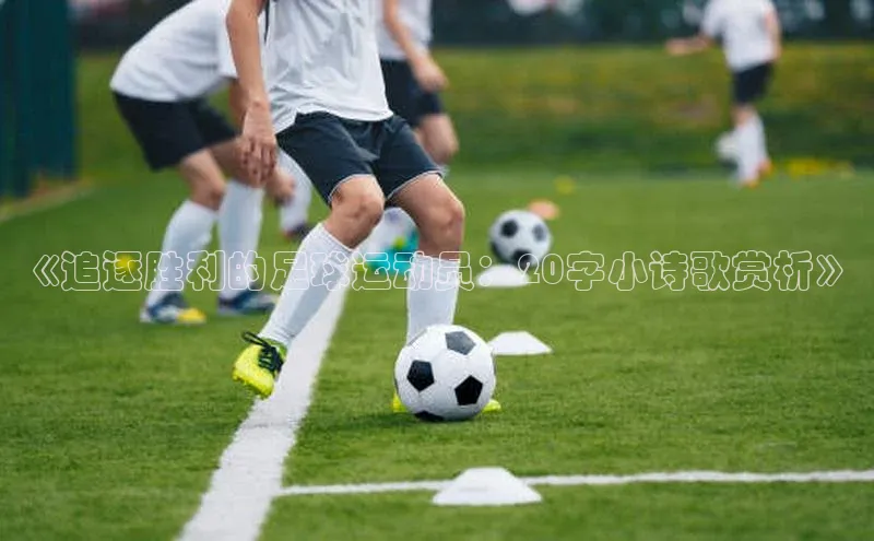 欧陆娱乐app下载梯哥哥科技《追逐胜利的足球运动员：20字小诗歌赏析》