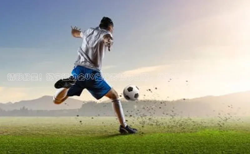 欧陆注册官方轻美电器精彩纷呈！辽宁运动会U9足球赛精彩回顾，体验未来之星的火热比拼