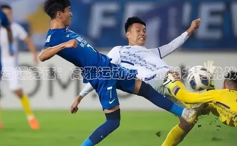 欧陆娱乐平台登录元隆雅图云端竞速：高雅运动赛事的魅力与挑战