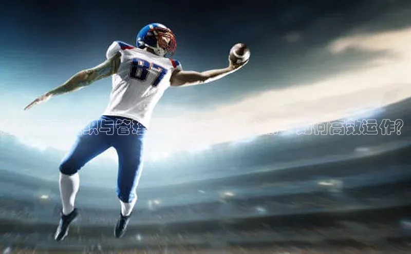 欧陆娱乐平台登录元隆雅图运动赛事组织与管理的各部门职责分析：如何高效运作？