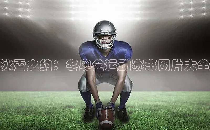 欧陆娱乐登录入口官网宇信科技冰雪之约：冬奥会运动赛事图片大全