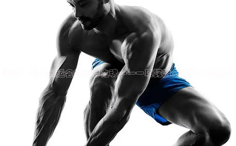 欧陆平台app下载携程拳击：现代奥运会的王者之魂——一项跨越全球的文化盛宴