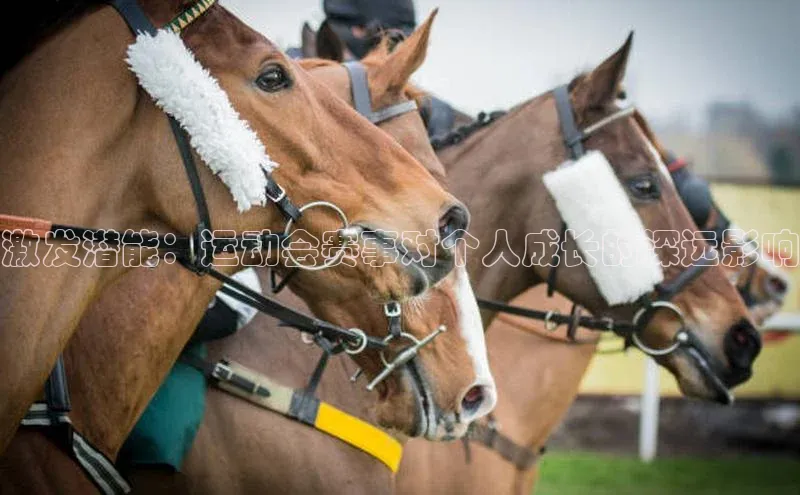 激发潜能：运动会赛事对个人成长的深远影响