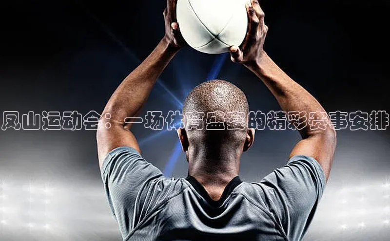 凤山运动会：一场体育盛宴的精彩赛事安排