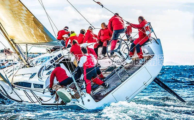 跨越赛道：一场竞走赛事的精彩瞬间