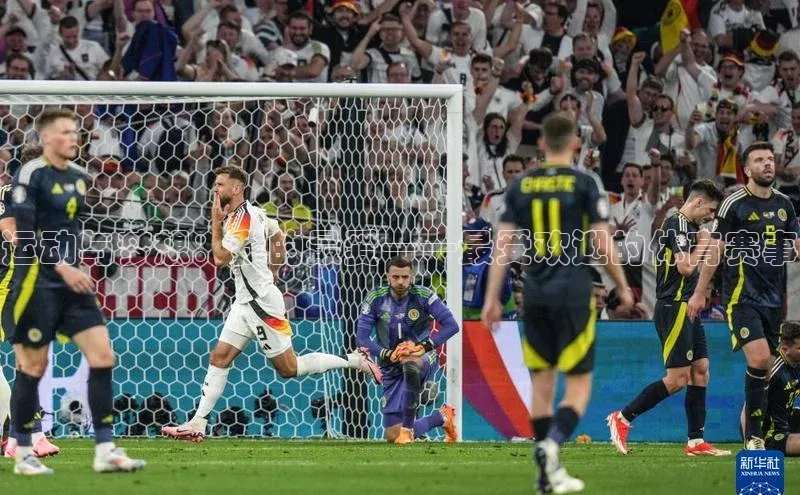 运动与梦想：我的最爱——最受欢迎的体育赛事