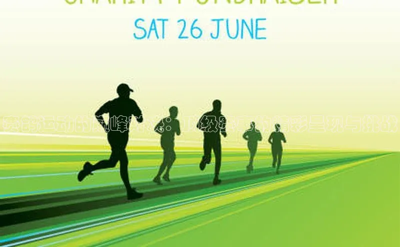 赛鸽运动的巅峰对决：顶级赛事的精彩呈现与挑战