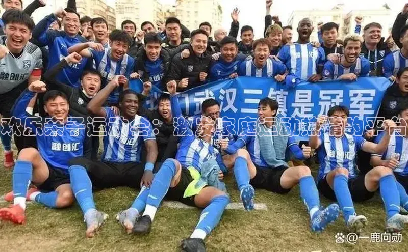 欢乐亲子运动会：激发家庭运动热情的平台