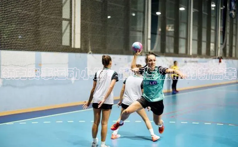 领克赛事运动小熊：速度与激情的新篇章