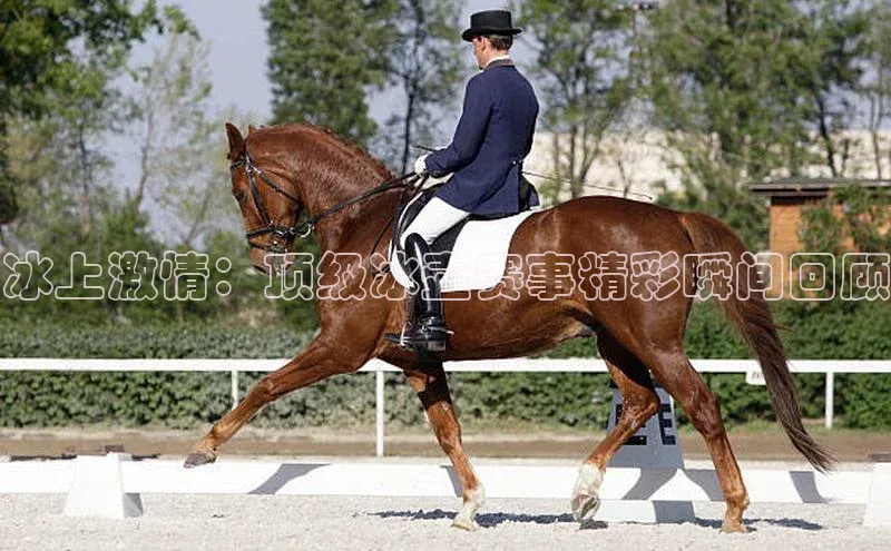 欧陆平台测速地址